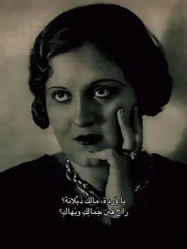 يا وَردة، مالِك ذَبْلانة؟ راح فِين جَمالِكِ وبَهاكِ؟ هوّ أَنتِ زَيِّي حَيْرانة؟ كان لَكِ حَبِيب غالِي جَفاكِ؟ فِين الّلي كانوا عشَقُوكِ؟ يِجُو فِي هَوانِك يُواسُوكِ عَشانْ جَمالِك حَبُّوكِ ولَمّا فاتِك، هَجَرُوكِ صَعْبان عَلَيَّ يُنهان بَهاكِ وتِشوفْ عَيْنِيّ أَيّامْ أَساكِ صَعْبانٌ عَلَيَّه #يا_وردة_مالك_ذبلانه #أميرة_الطرب #نادرة #صخب #اكسبلور  #4u 