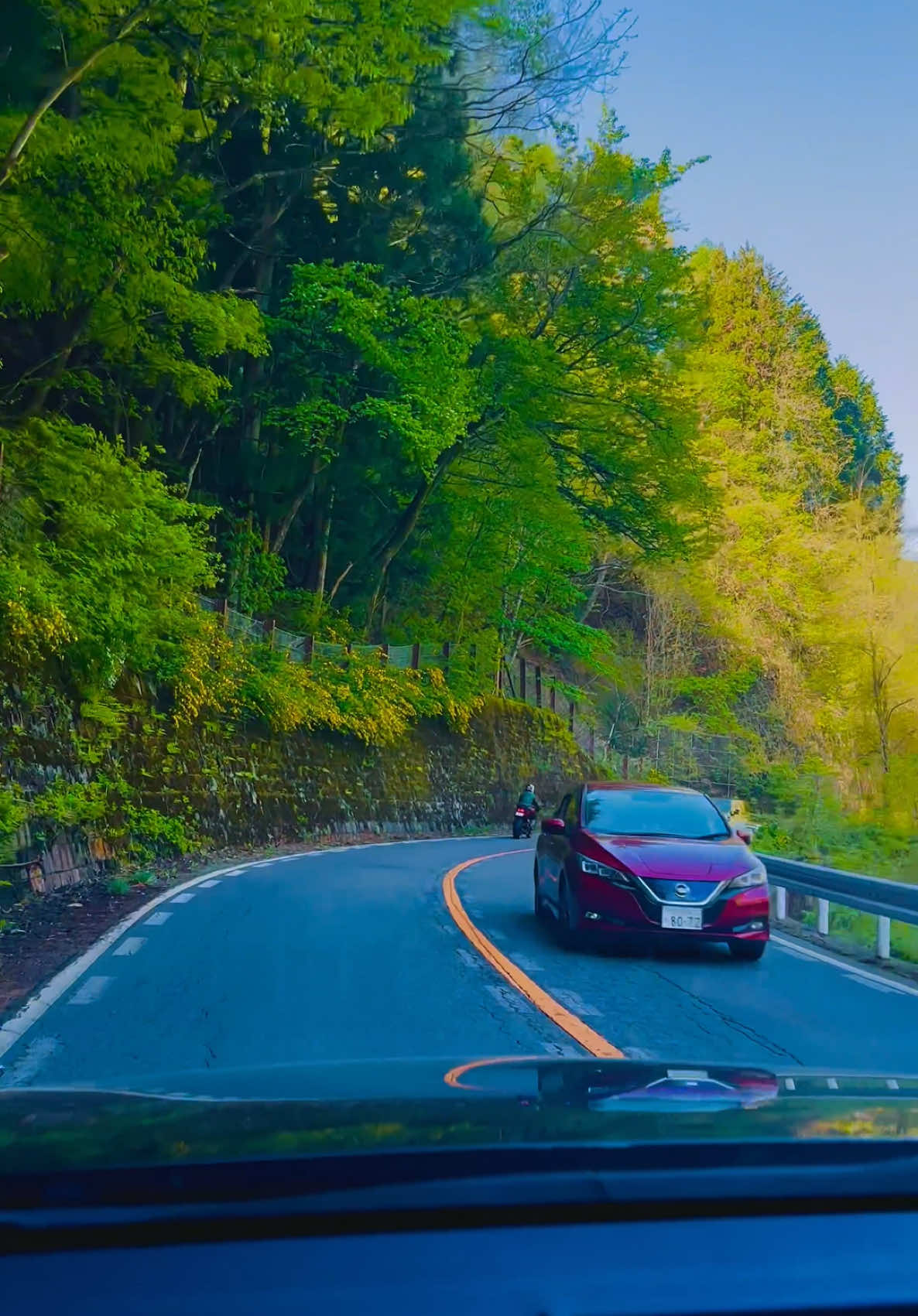 🚗🍀 📍Nagano Prefecture  #japan #nature #naturevibes #naturelover #exploremore #wanderlust #forestmagic #traveltiktok #onemillionaudition #travel #fyp #fypage #foryou #foryoupage #follow #nihonvoyages #roadtrip #greenscreen #roadto10k #tiktok #tiktokviral #trending #viral #relaxingvideos #healing 