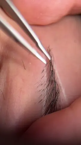 Pinça @Staleksbrasil #satisfatório #sobrancelhas #satisfyingvideo #fyp 