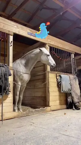 Horses barking. #foryou #fyp #tiktok #funnyvideos #fyppppppppppppppppppppppp #horse 