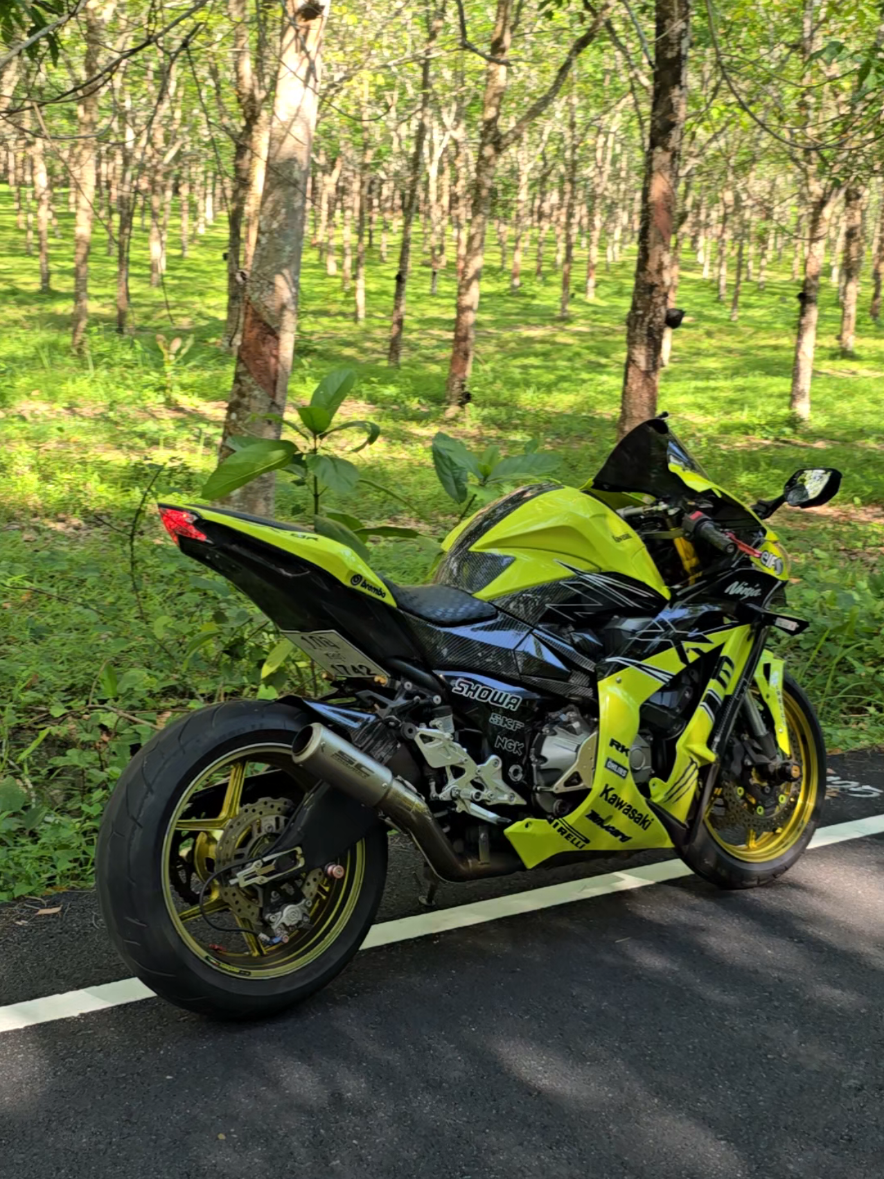 cc น้อย แต่อยากได้เสียงตัวพัน 😂😂😂  #kawazaki #zx8r #kawazakiz800 #z800 #z800thailand 