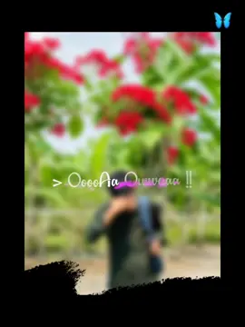 #CapCut ####
