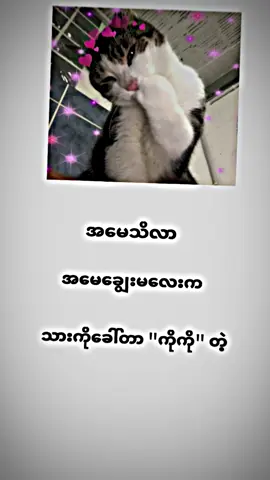 အမေချွေးမလေးကချစ်စရာလေး#ဒိတစ်ပုတ်လေးတော့fypရောက်ကွာ #ငါ့viewတွေဘယ်ရောက်သွားတာလဲ #fypရောက်စမ်း🥴 #fyp #forthchallenge #100kviews #foryou #pppppppppppppppp 