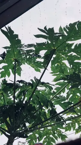 🗣️🗣️#lyric #4upage #cobalahmengerti #xybca #287vibess 