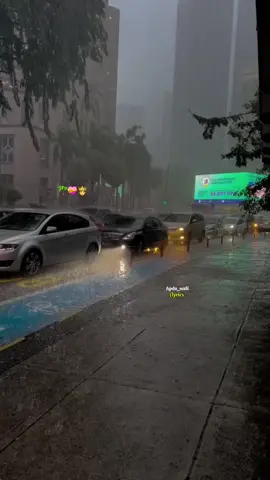 #somlia song 🎵 #qalbiga wuu reystaye #rain somali for#🌴🌴🥰🌷👑❤️❤️🌺🇸🇴  #Apdu_waili (lyrics 🇸🇴❤️