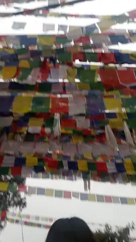 #😆😆😆 #foryoupage 