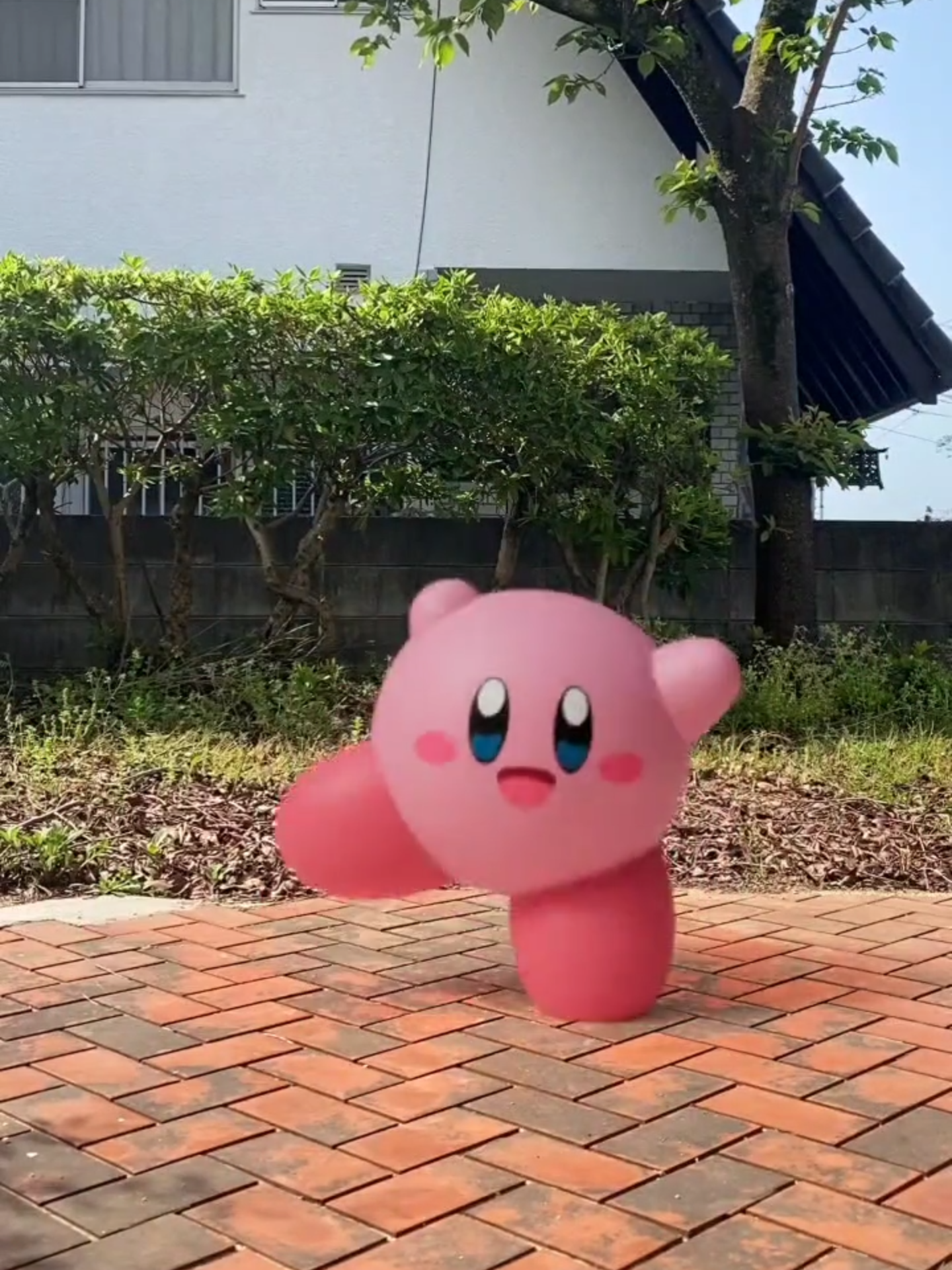 【カービィ】勝利ダンスの練習 [Kirby] Training for the Perfect Victory Dance #カービィ #ダンス #kirby #dance 