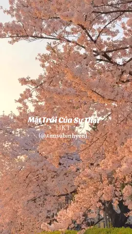 Có ai còn nhớ giai điệu này không ? 🥰 #mattraicuasuthat #hkt #hoainiemmusic #hoainiem8x9x #nhac8x9x #nhachaymoingay #nhacnaychillphet #amnhacvacamxuc #nhachottiktok #nhachottrend #music #fyp #foryou #timsubinhyen #capcut 