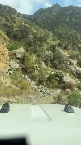 #اسعد_الله_جميع_اوقاتكم🌹 #اكسبلور_explore❥🎶 