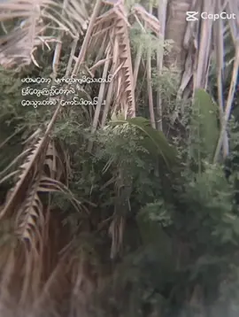 #fyp #ဝေးသွားတာပဲကောင်းပါတယ်😔😔😔 #ရောက်ချင်တဲ့နေရာရောက်👌 