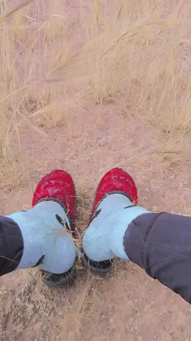 شكون فهمني😂😂#بوزيدية_وافتخر #المكناسي #abonné #fouryourpagetiktok 