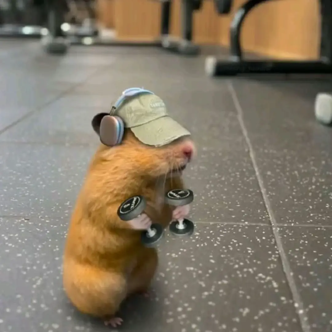 Ae xin nhìu quá nên tui gửi lên hết cho ae 🔥 #gym #Qzhhe #hehe #gymbro #hamstertapgym 