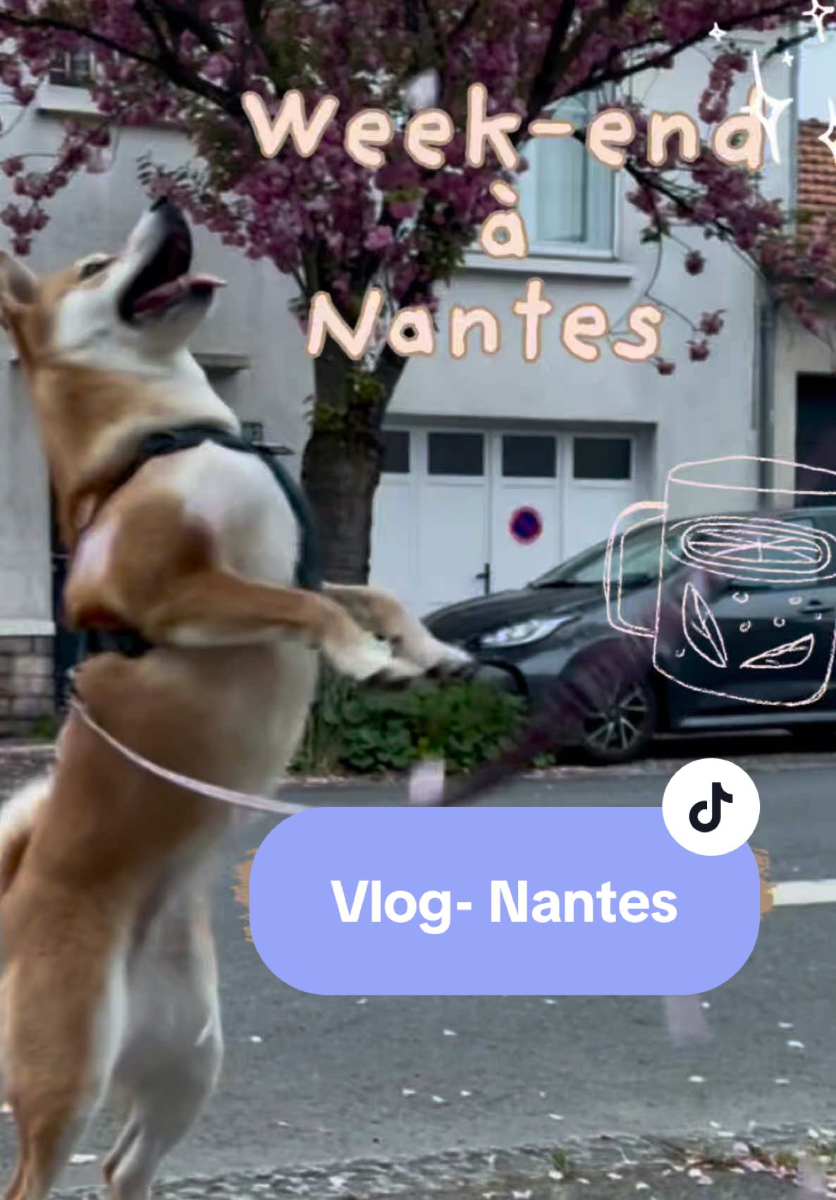 Réveil à 5h30 (mes cernes s’en souviennent encore), avion à 8h40, et c’est parti pour 4 jours à Nantes… sous un soleil qu’on n’avait même pas commandé ! Retrouvailles avec ma sœur, moment artiste au céramique café (spoiler : je ne vais pas changer de carrière), et un week-end qui a clairement coché toutes les bonnes cases. Nantes, t’as été trop douce… même pas besoin de filtre ! #Vlog #voyage #nantes #avion #goodvibes #pourtoi #sister 