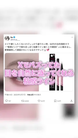 Xで中顔面短縮してくれる粘膜ライナーってバズってたコスメをご紹介！！！ #kate ##ダブルラインエキスパート##粘膜ライナー##バズコスメ##コスメ紹介
