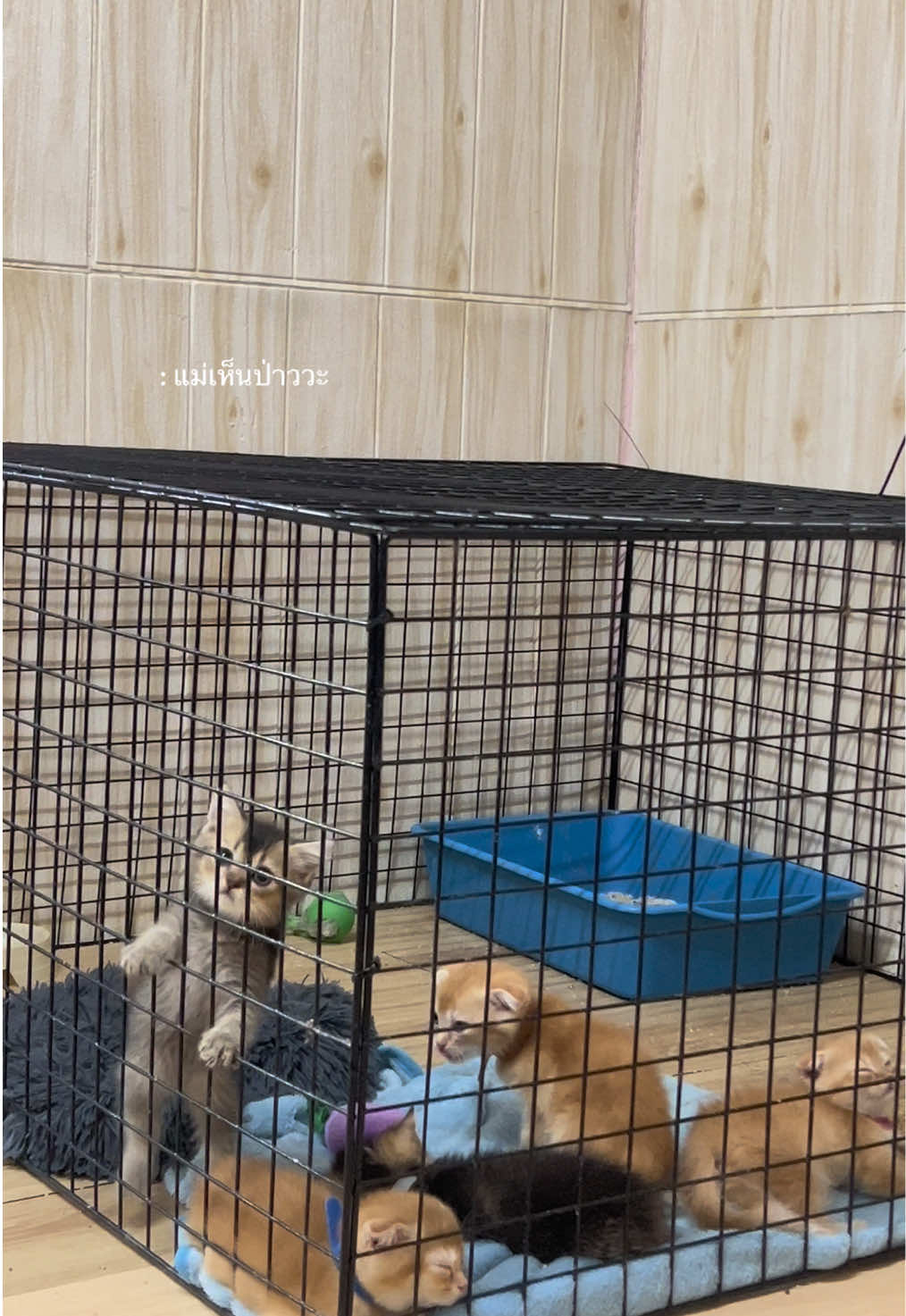แต่ละวันนนน 