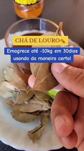 Chá de Louro🍂 Receita completa gratuita no link da bio  #emagrecer #emagrecersaudavel #emagrecercomreceitas #secabarriga #chasecabarriga #cha #chadelouro #louro #perderpeso #gorduranofigado 