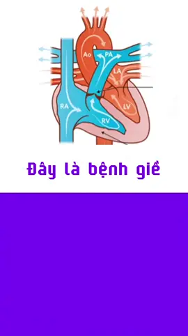 Trắc nghiệm tiếng tim #hocycogivui👩🏻‍⚕️💙 #sinhvienyduoc #faquiz #trending #LearnOnTikTok 