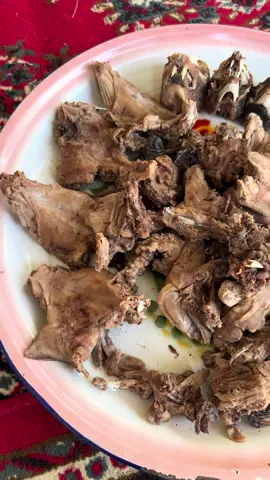 #مكشات#الديرة#هشتاقاتي_الترند_المشهور#تهامة#الديرة#مقناص#الوبر#الشعب_الصيني_ماله_حل😂😂