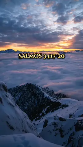 Cercano esta Jehová a los quebrantados ❤️‍🩹- Salmos 34:17-20 #hagamosviralajesus #jovenescristianos #labiblia#lecturapublicadelabiblia #labibliadice #labibliaentiktok 