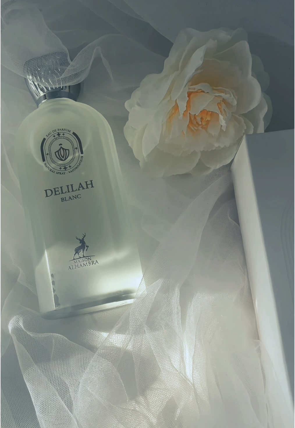#CapCut Delilah Blanc is the best clean scent by maison alhambra #cleanscents #perfumeticktock #fragrancetiktok #uktiktok #perfumetokuk #affordablefragrances #affordableperfumes #affordableperfume 