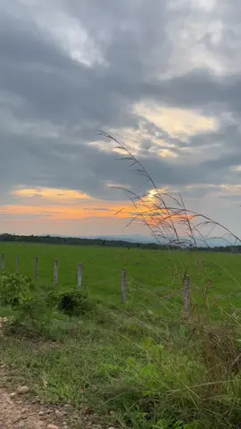 #llanosorientales #videoviral #atardecerllanero 