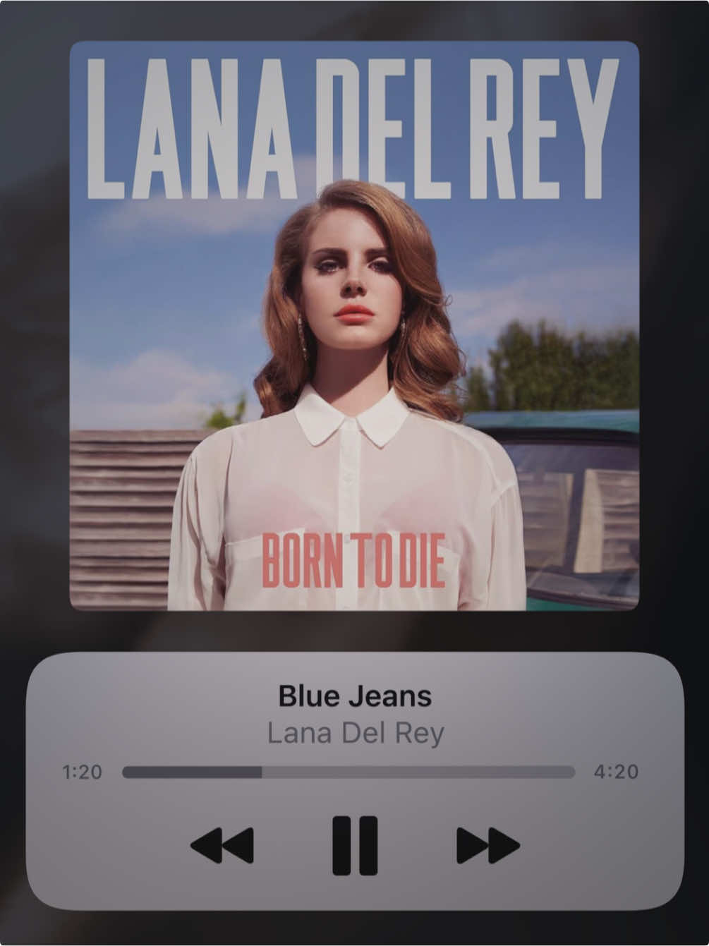 Blue Jeans | Lana Del Rey #lyrics #lyricedit #song #songedit #fyp 