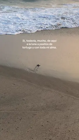 Mencionen a su persona✨ #paratii #fyt #puertoescondido 