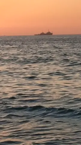 ♕الحب الحقيقي♕ لايمكنك ان تحب البحر وانت تقف على الشاطئ.  يجب ان تغوص اعماقه.  تضربك أمواجه.  تضرب قدمك صخوره.  وترى قاعه المظلم. فتلمس عيوبه وترى ظلوماته.  وتعرف كيف يغضب.  وبعدها فقط  أما ان تحبه كله أو تكره كله.  يبدأ الحب عندما ينتهى الحماس.  #👌🏼 #🌊 #fyp #foryou #tiktok #الحب_الحقيقي #البحر #مصر #🇪🇬  #creatorsearchinsights 