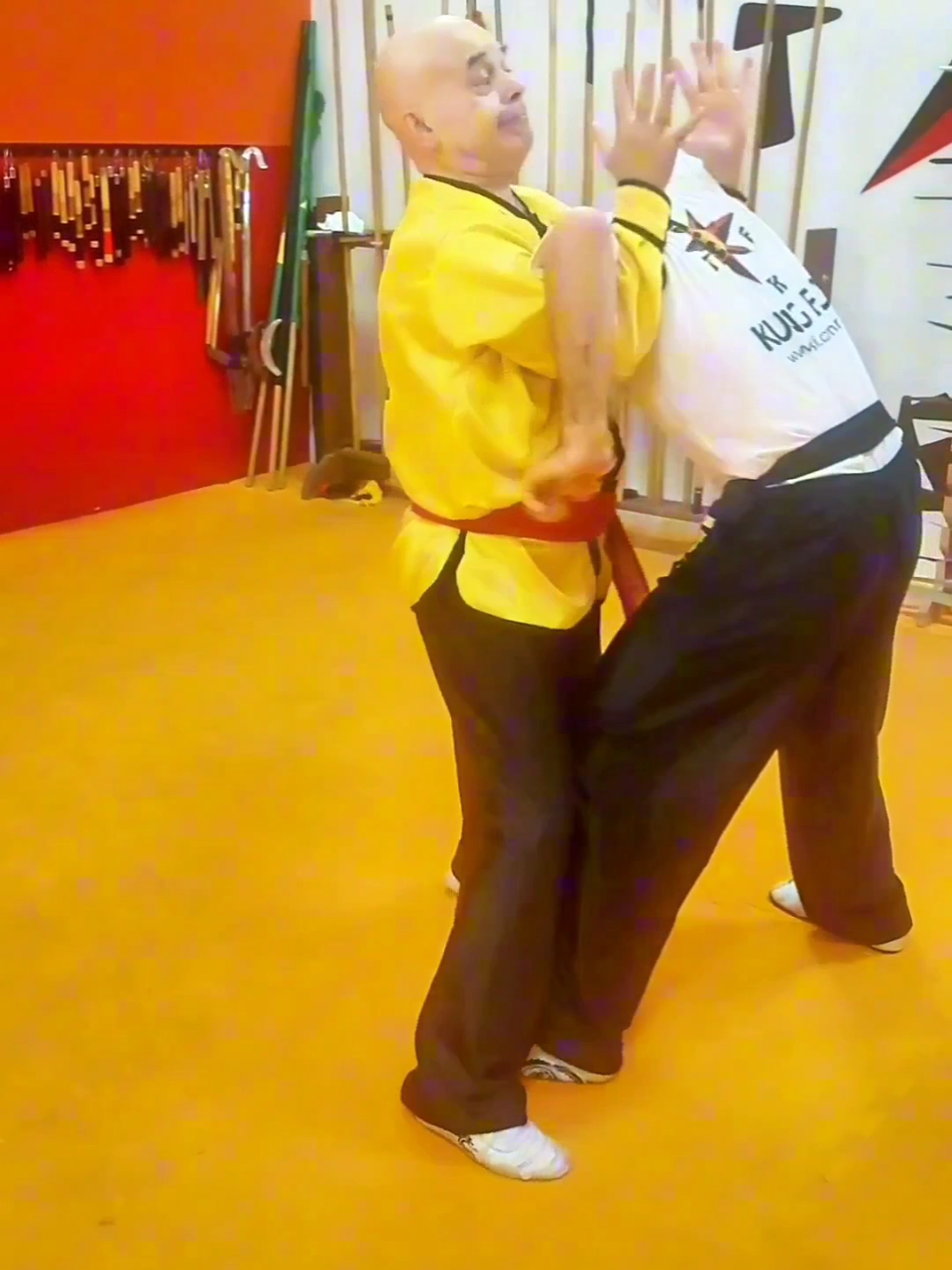 #tskf #kungfu #wushu #artemarcial #artesmarciais #defesapessoal #shaolin #chikung