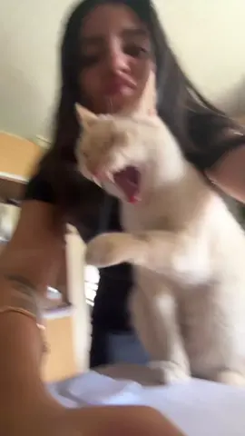 Acho que fui julgada