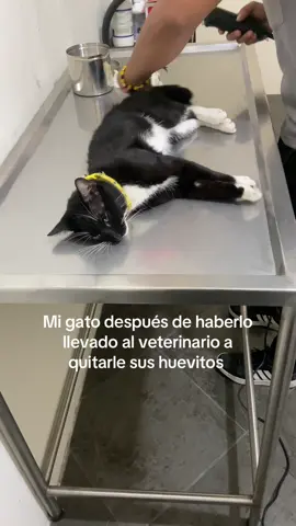 😞