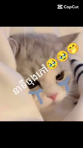នាទីចុងភៅ for#you#meme #foryoupage❤️❤️ 