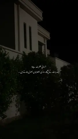 #fyp 