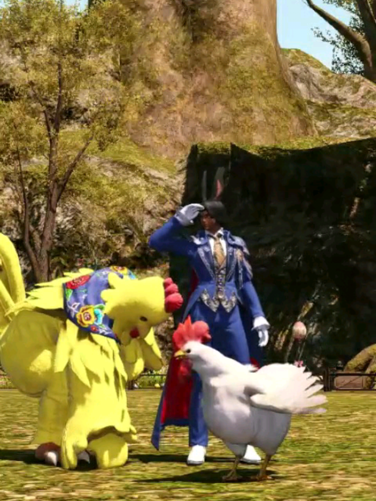 Replying to @queen_ham_  Gridania easter chicken farm oob #dawntrail #finalfantasy14 #ff14 #ffxiv #finalfantasyxiv #ffxivmeme #ff14meme #ffxivonline #ffxivtiktok 
