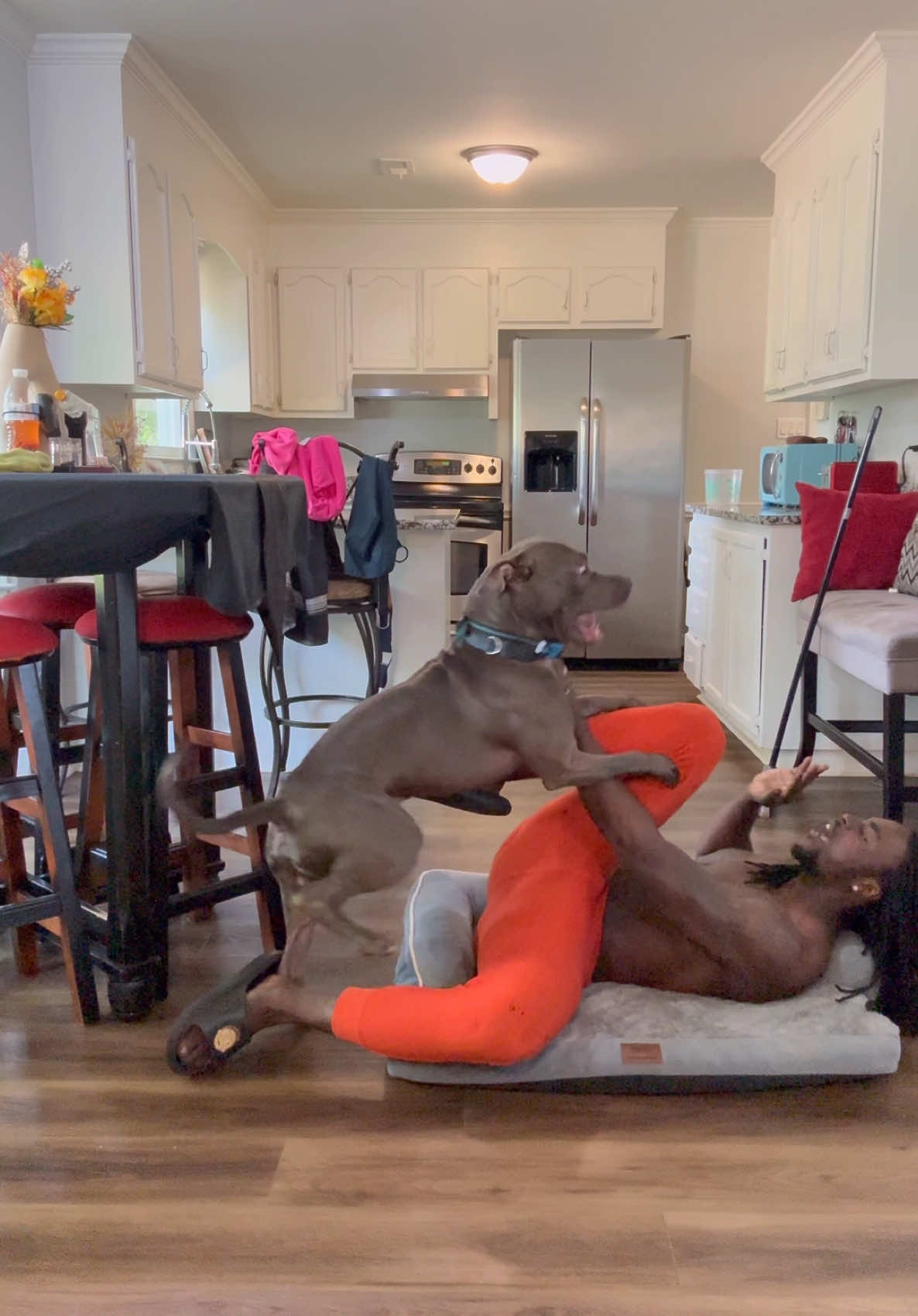 He won’t share his bed🛌😩😂🐶#kingzaythatruth #wow #fypage #fypシ゚viral #share #sharing #bed #dog #doglovers #dogslife 