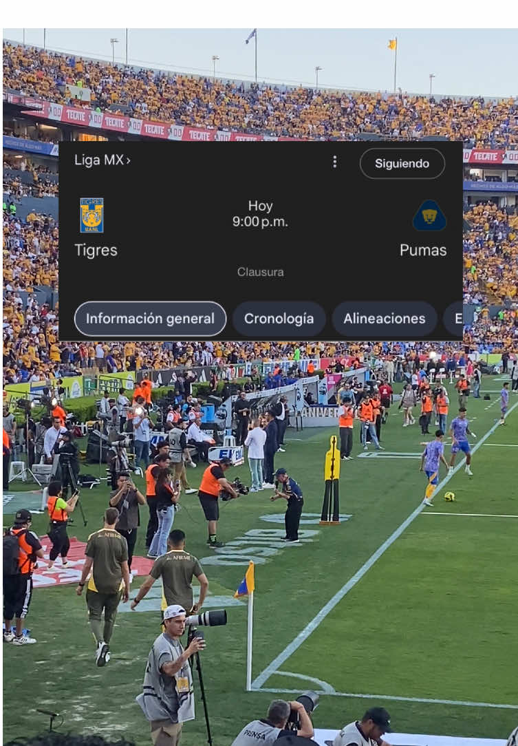 Hoy juegan nuestros Tigres queridos 💛💙  A cerrar fuerte el torneo y demostrar la paternidad sobre pumas  #tigresuanl #tigres #libresylokos #estadiouniversitario #fyp 