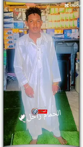 #دار حامد عزي #🥰 وفحري💪 الشعب الصيني#مالة حل#😂😂😂 