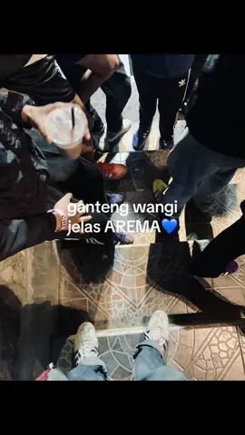 #arema #aremania #wsc 