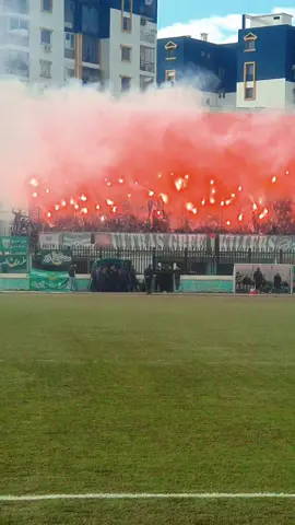 🤍💚🤍💚 . . . #fyp #ultras #usmblida💚🤍 #blida09 #usmb #إتحاد_البليدة #dz #blida09 #mca #usmh 