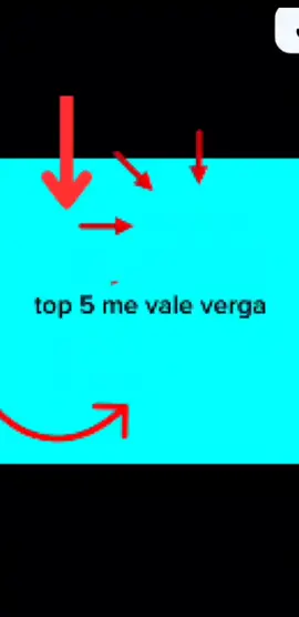 top 5 me vale verga top 1