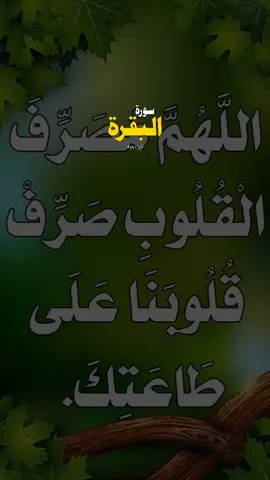 #CapCut #قران_كريم #تلاوة_خاشعة_صوت_يدخل_قلب #القران_الكريم #القران_الكريم_راحه_نفسية😍🕋 #اذكروا_الله #القران_الكريم_راحه_نفسية😍🕋 