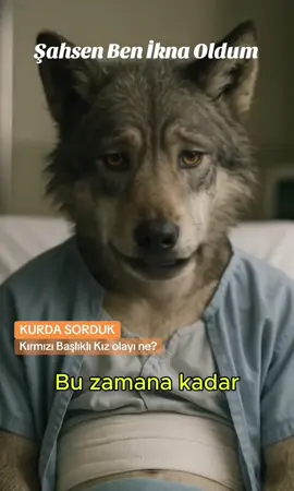 kırmızı başlıklı kız ve kurt hikayeyi bir de kurttan dinleyelim