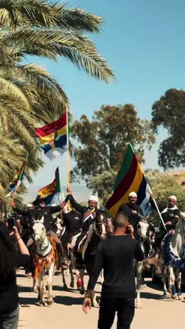 #دروز_وبس🇸🇨 #دروز💚❤️💛💙🤍 #بني_معروف🇸🇨🇸🇨🇸🇨 #النبي_شعيب_عليه_السلام🇸🇨 #خيل_وخياله🐎 