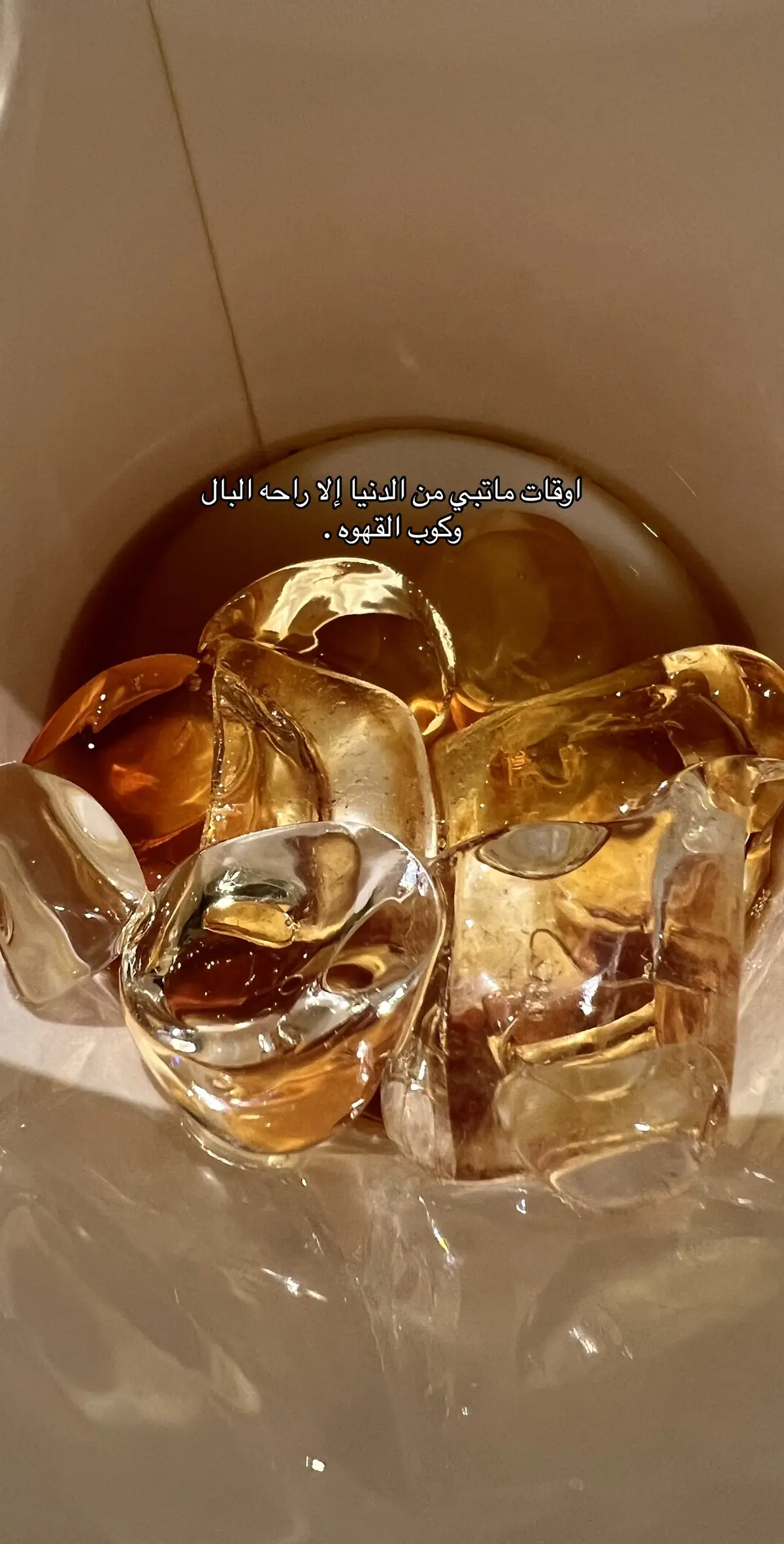 #بندر_بن_عوير #الوليد_ال_عامر #صالح_بن_نشيرا #احمد_ال_شملان #fyp #شيله 