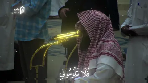 فلا تلوموني ولوموا انفسكم #قران #قران_كريم #يوسف_الصقير 