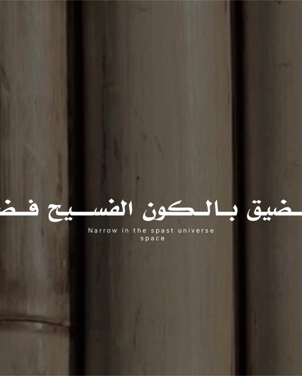 جزء 110 | ميزتها من بين الف جميلة 🖤.! #بدون_موسيقي #fyp #explore #بدون_موسيقى☕🖤 #شعر #غزل #عبدالرحمن_محمد @Mohamed SHehap 🎙️ 