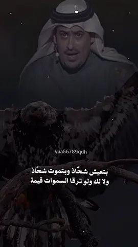 #yua56789qdh #شعروقصايد #fypシ #creatorsearchinsights