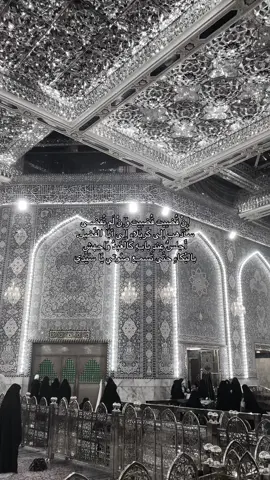 #الموصل_كركوك_بغداد_ال_البصره_كربلا #محمد_عبد_الجبار #ابا_الفضل_العباس_عليه_السلام #عباس_عجيد_العامري #باسم_الكربلائي 🩹