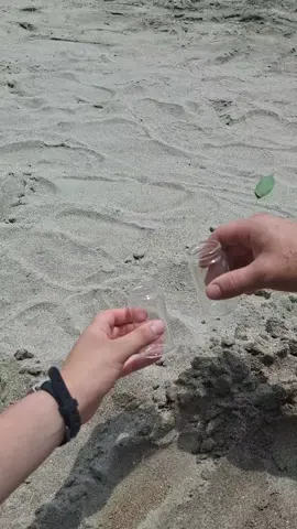 Recolectando recuerdos bonitos.🥰👩🏻‍🤝‍👨🏽🌊🐚🌴 @Yulian Brenes #playamoments  #parejas #recuerdos 