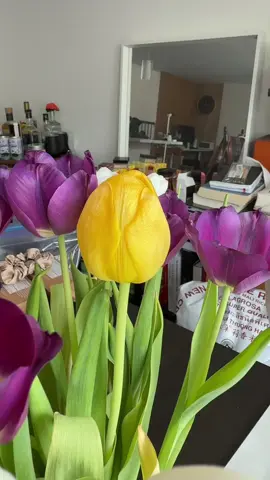 idk why the yellow tulips are begging to hold onto their dear life. LOL  also. i love tulips and this bouquet was sent to me by @SendMeFlowers.io ! such a sweet gift and it came by my birthday!!  #flowers #tulip #tulips 